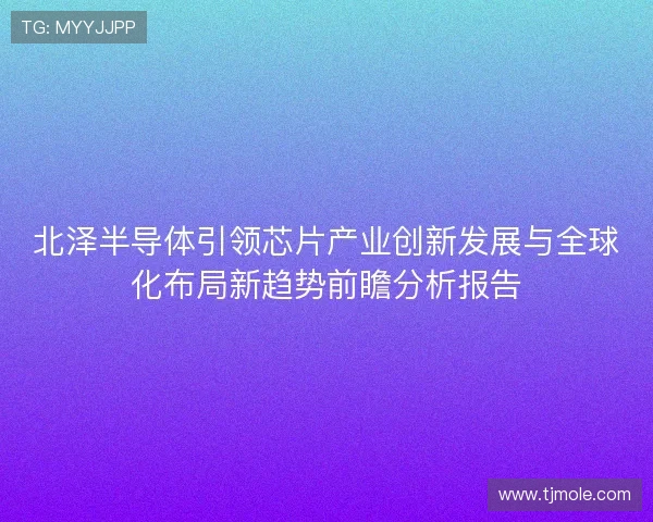 北泽半导体引领芯片产业创新发展与全球化布局新趋势前瞻分析报告